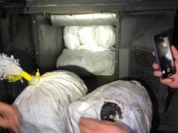 На Закарпатье задержали автобус со 100 килограммами янтаря, который везли в ЕС (фото)