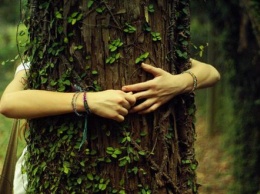 Какие деревья надо обнимать для благополучия и здоровья