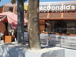 Возле одесского «Макдоналдса» закатали дерево в бетон