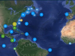 Создан сайт-трекер подводных жителей океанов