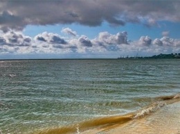 На пляжах курортных поселков под Мариуполем обнаружили опасные бактерии