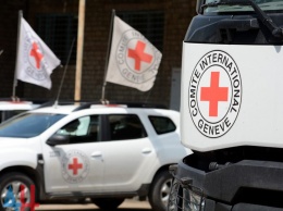 Ряд микроэкономических проектов для Донбасса к 2021 году подготовит Красный Крест