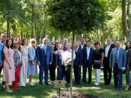 Иностранные дипломаты посадили дерево дружбы в парке Харькова