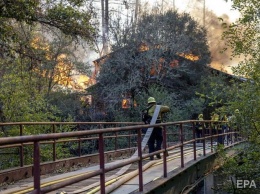 В Северной Калифорнии бушует масштабный лесной пожар, его признали вторым по величине в истории штата