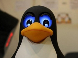 Гибридный ботнет для Windows научился захватывать Linux-системы