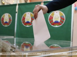 "Голос" призывает Раду принять проект постановления о непризнании легитимности выборов в Беларуси
