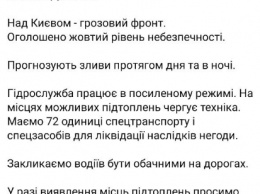 Киевлян предупредили о мощных ливнях в течение дня. К непогоде подготовили спецтехнику