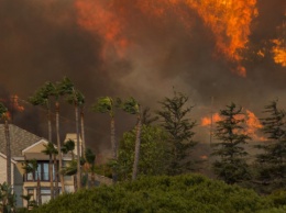 В Калифорнии сгорели более полумиллиона гектаров лесов