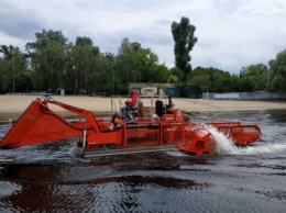 Водоемы возле пляжей Киева очистили от 270 тонн водорослей