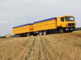 До 2040 года Украина будет одной из самых благоприятных стран для выращивания пшеницы - эксперт ООН