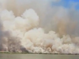 В Херсонской области почти сутки горел национальный парк: дым было видно издалека