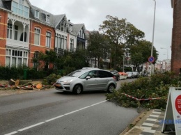 Поломанные деревья и авто: в Нидерландах бушует шторм Фрэнсис