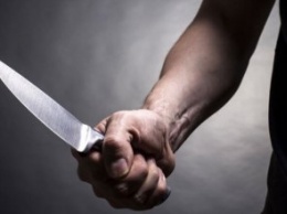 94 удара топором и ножом: в Каменском ремонтный работник жестоко убил хозяина квартиры