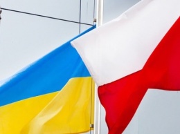 Украина и Польша совместно будут бороться с налоговыми преступлениями