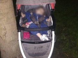 В парке Героев нашли коляску с 10-месячной девочкой: ее мать пьяной ушла домой, - ФОТО