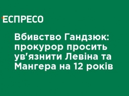 Убийство Гандзюк: прокурор просит посадить Левина и Мангера на 12 лет