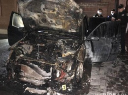 Депутату Рады Гео Леросу сожгли автомобиль
