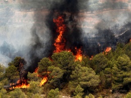 Более 2 тысяч человек эвакуировали в Испании из-за крупного лесного пожара