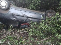ДТП в Запорожской области: автомобиль вылетел в кювет