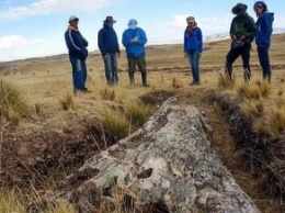 В Перу найдено дерево возрастом 10 млн лет