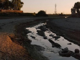 Река Кубань из-за небывалой засухи превратилась в ручеек