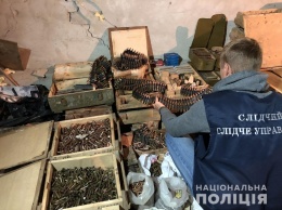 От РПГ и до гранат: на Харьковщине полиция выявила огромный склад ворованного оружия и боеприпасов (фото)