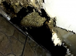 Ночной пожар в кафе на Черемушках: загорелась обшивка потолка возле дымовой трубы