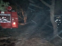В Павлограде сгорело 0,03 гектара лесной подстилки