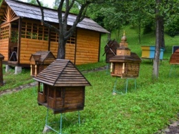 В Колочаве появилось пчелиное «село»