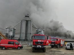 В Ивано-Франковской области масштабный пожар на свинокомплексе