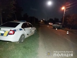 Житель Днепропетровщины травмировал полицейского