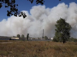 В Харьковской области спасатели тушат масштабный лесной пожар, - ФОТО