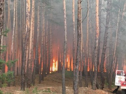 В Харьковской области горит около 10 га леса. ГСЧС задействовала для тушения авивцию