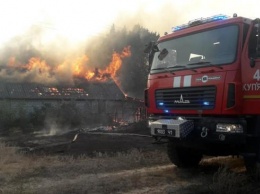 Масштабные пожары возникли на Харьковщине и Луганщине - горят сотни гектаров леса (ФОТО, ВИДЕО)