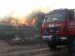На Харьковщине пылает 500 гектаров леса, одно село полностью уничтожено пожаром