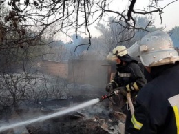 Село полностью выгорело в результате пожара на Харьковщине (ФОТО, ВИДЕО)