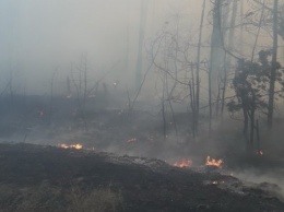 В Харьковской области эвакуировали граждан, которым мог угрожать мастабный пожар, - ГосЧС