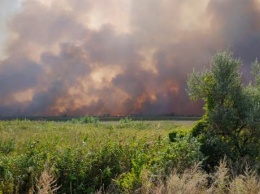 Двое военных получили ожоги во время тушения пожаров на Луганщине - штаб ООС