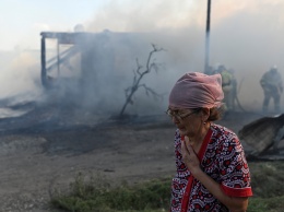 Площадь пожаров в Ростовской области превысила 700 га. Есть жертвы