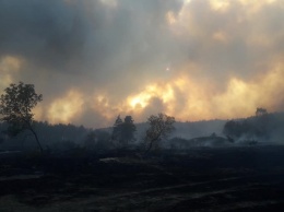 В Харьковской области спасатели вторые сутки тушат лесной пожар: сгорели 22 жилых дома
