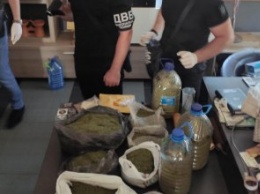В Днепропетровской области у наркосбытчика изъяли более 14 кг марихуаны и пистолет