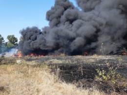 Сгоревшее село, жертвы и пострадавшие: Все о масштабных пожарах в Харьковской и Луганской областях