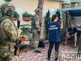 Плантацию элитной конопли на Николаевщине вырастили "дружинники" - полиция (ФОТО, ВИДЕО)