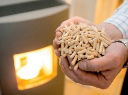 Европейские ученые предложили приравнять биомассу к углю по степени вреда для климата