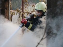 На Харьковщине объявили чрезвычайную ситуацию из-за лесных пожаров, - ФОТО
