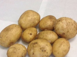 Эти блюда из картофеля считаются самыми вредными для организма