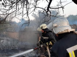 Пожары на востоке Украины: спасатели локализовали очаги возгорания (видео)