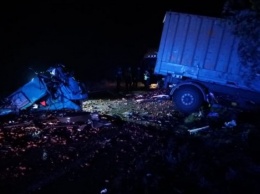 В Николаевской обл. два грузовика попали в смертельное ДТП