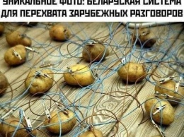 Соцсети сражаются за лучший мем о перехваченных "пленках Лукашенко". Фото