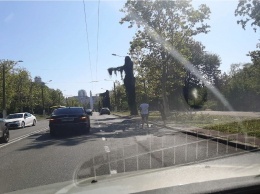 Пробка в Одессе у Парка Победы образовалась из-за смертельного ДТП (видео)
